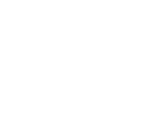 RS RUDEK SERWIS